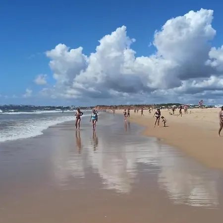 Solar Dos Pinheiros Lc 303