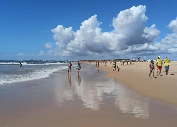 Solar Dos Pinheiros Lc 303